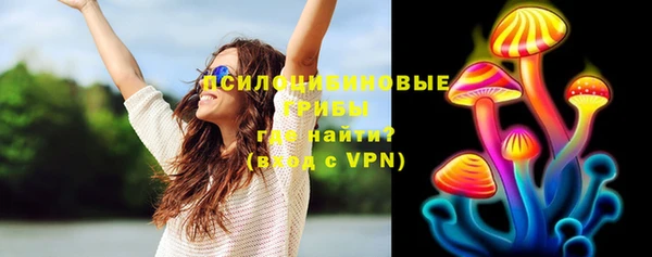 PSILOCYBIN Алексин