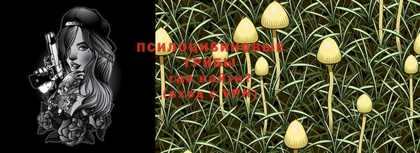 героин Пересвет