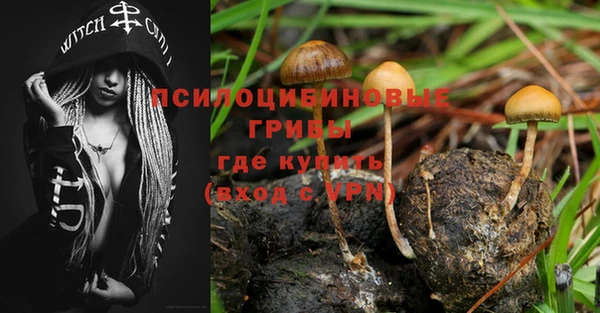 a pvp Пестово