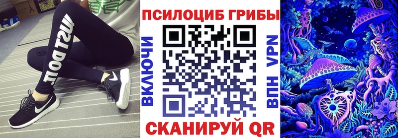 Галлюциногенные грибы Psilocybine cubensis  Родники 