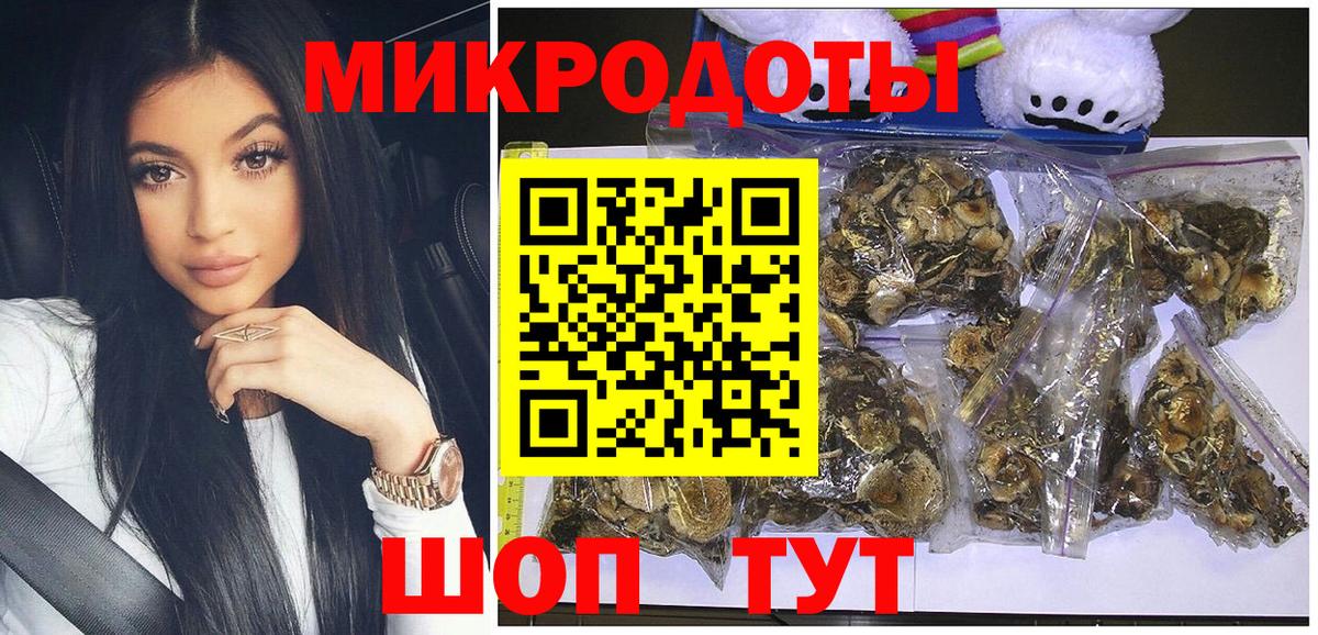 Родники  Галлюциногенные грибы Psilocybine cubensis  Галлюциногенные грибы GOLDEN TEACHER  что такое   Вход с VPN 