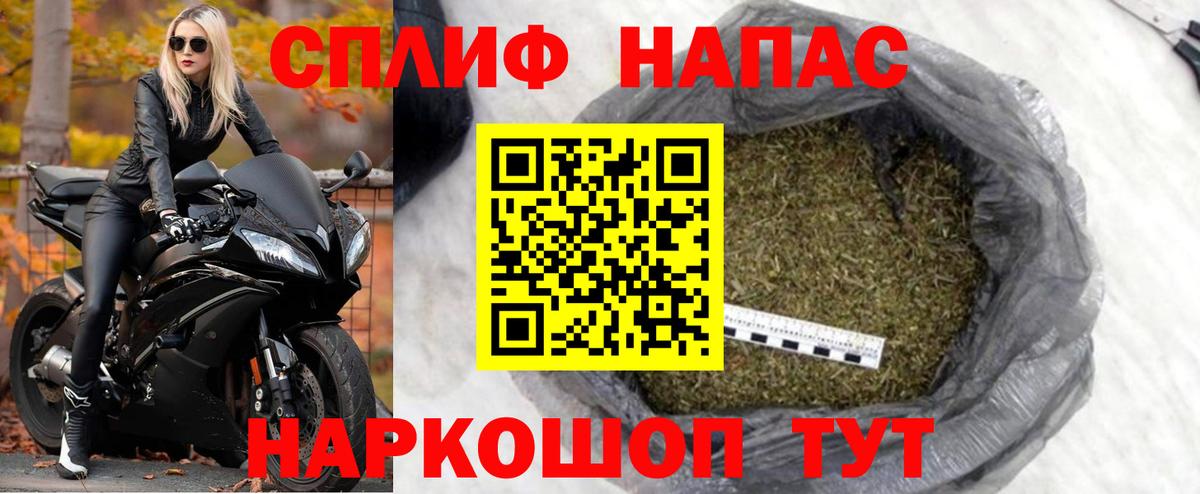 МАРИХУАНА конопля Родники